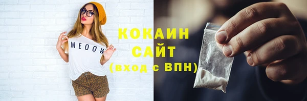 СК Алексин