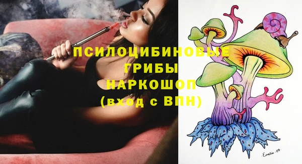 СК Алексин