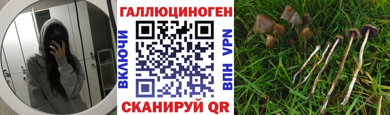 площадка Telegram  Аркадак  Галлюциногенные грибы мухоморы 